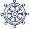 YBDSA logo