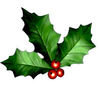 holly leaves